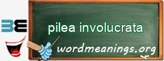 WordMeaning blackboard for pilea involucrata